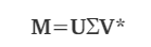 SVD